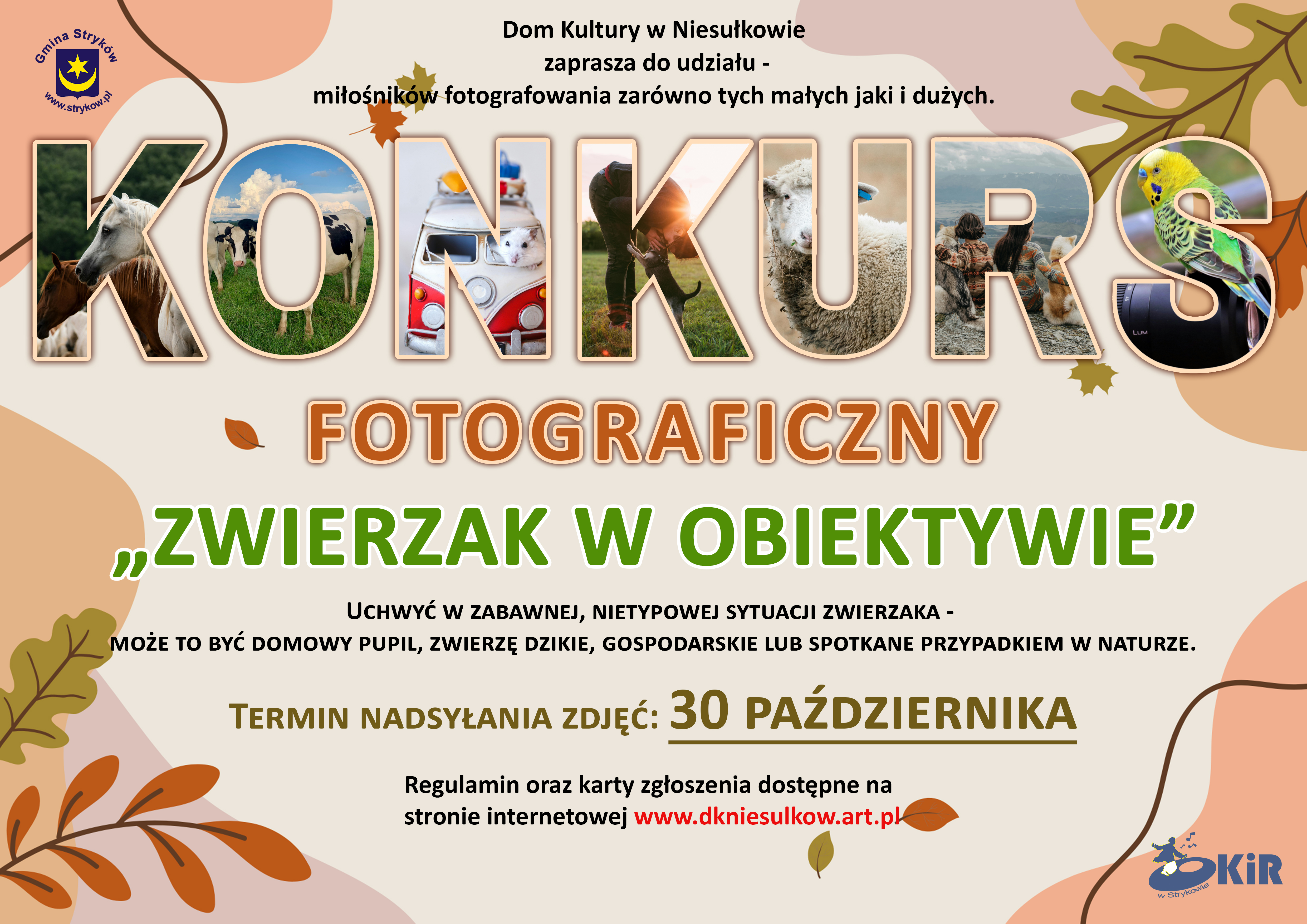 DK Niesułków ogłasza dwa konkursy