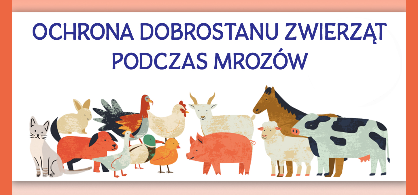 Informacja o ochronie dobrostanu zwierząt podczas mrozów