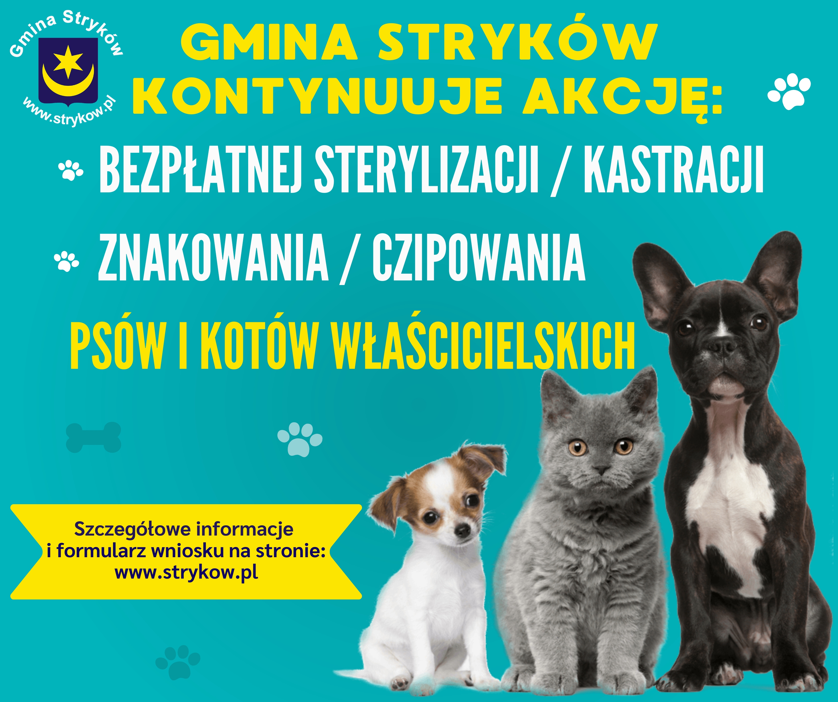 Bezpłatna sterylizacja, kastracja i czipowanie zwierząt właścicielskich