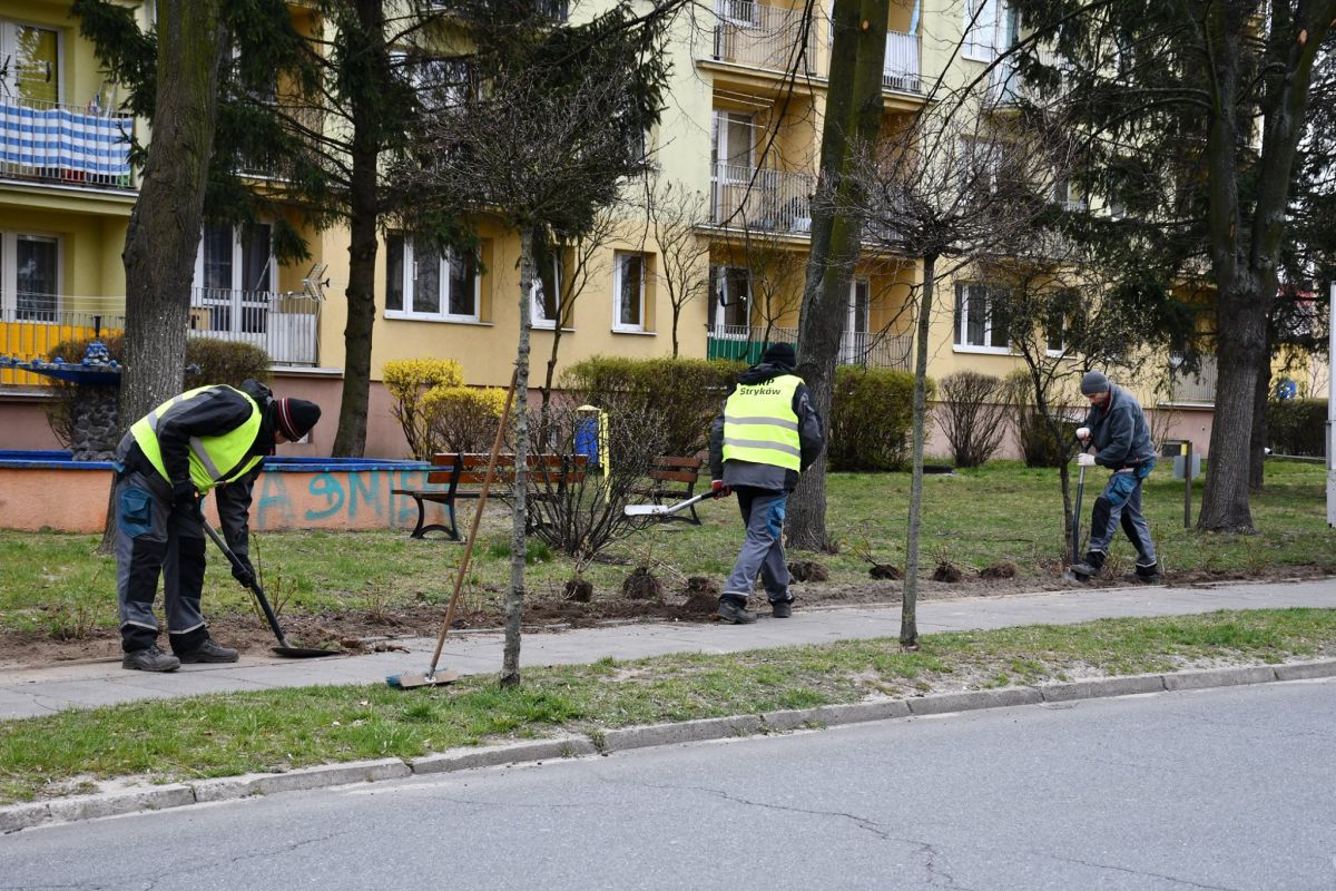 Wiosenne prace na zieleńcach