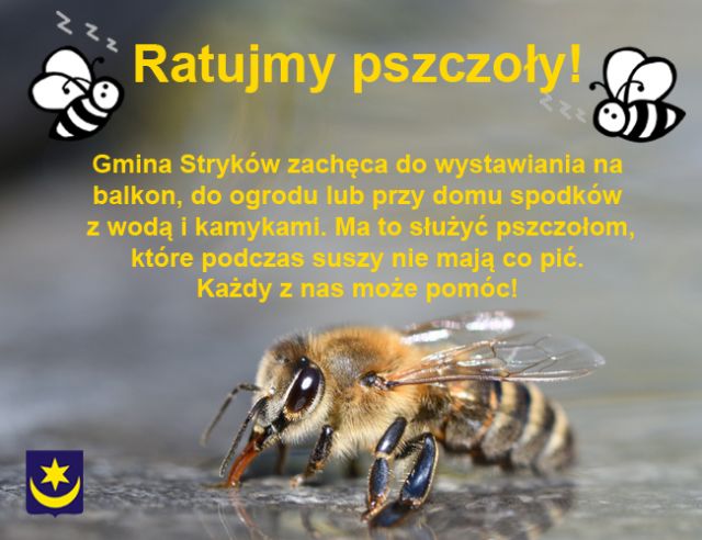 Ratujmy pszczoły