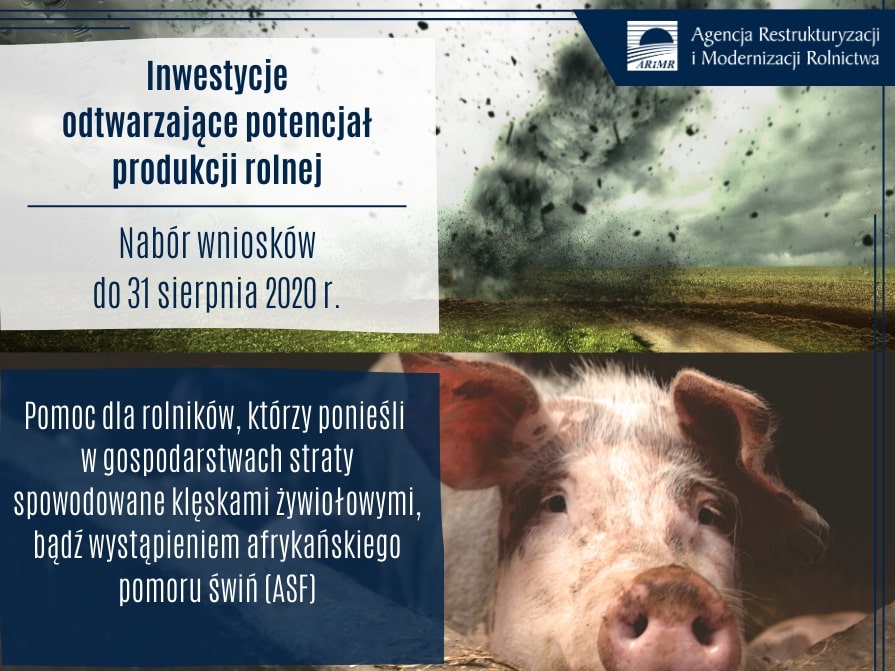 Odtworzenie potencjału gospodarstwa