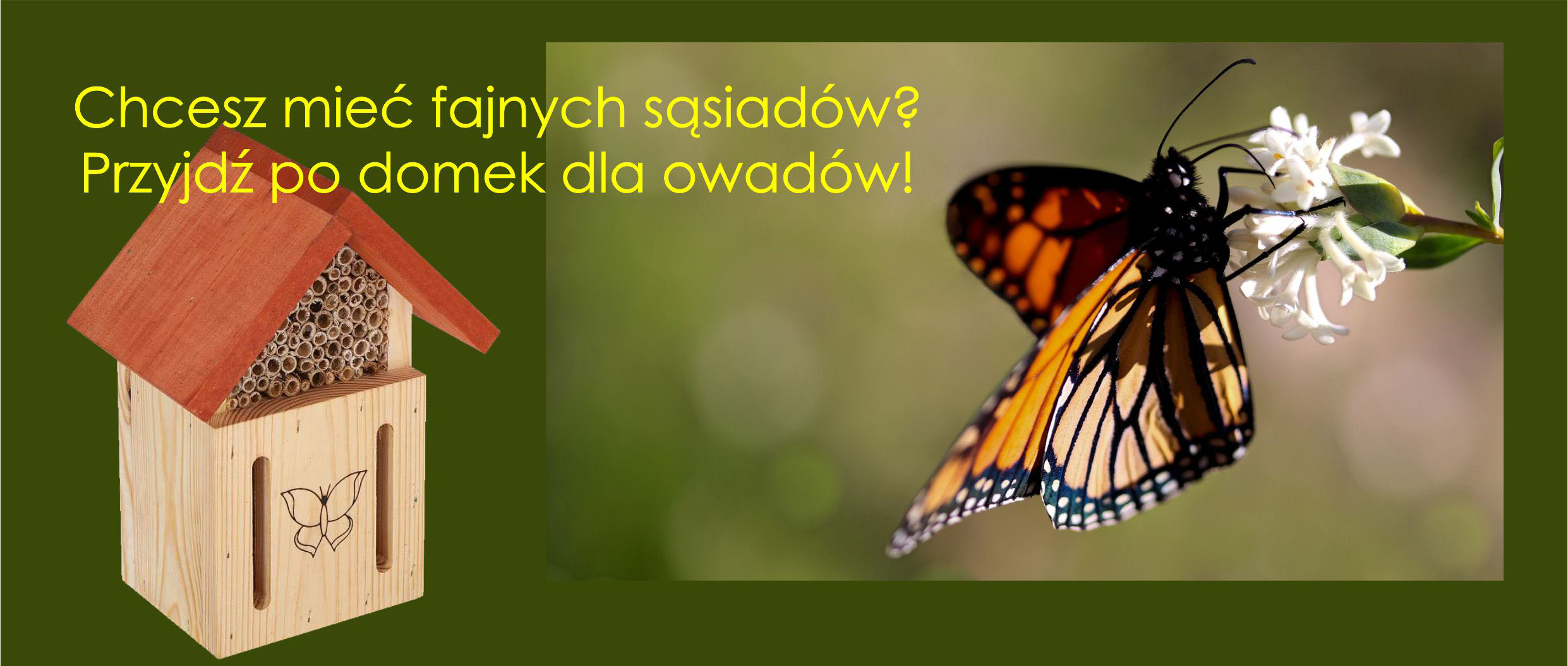 Budki dla owadów