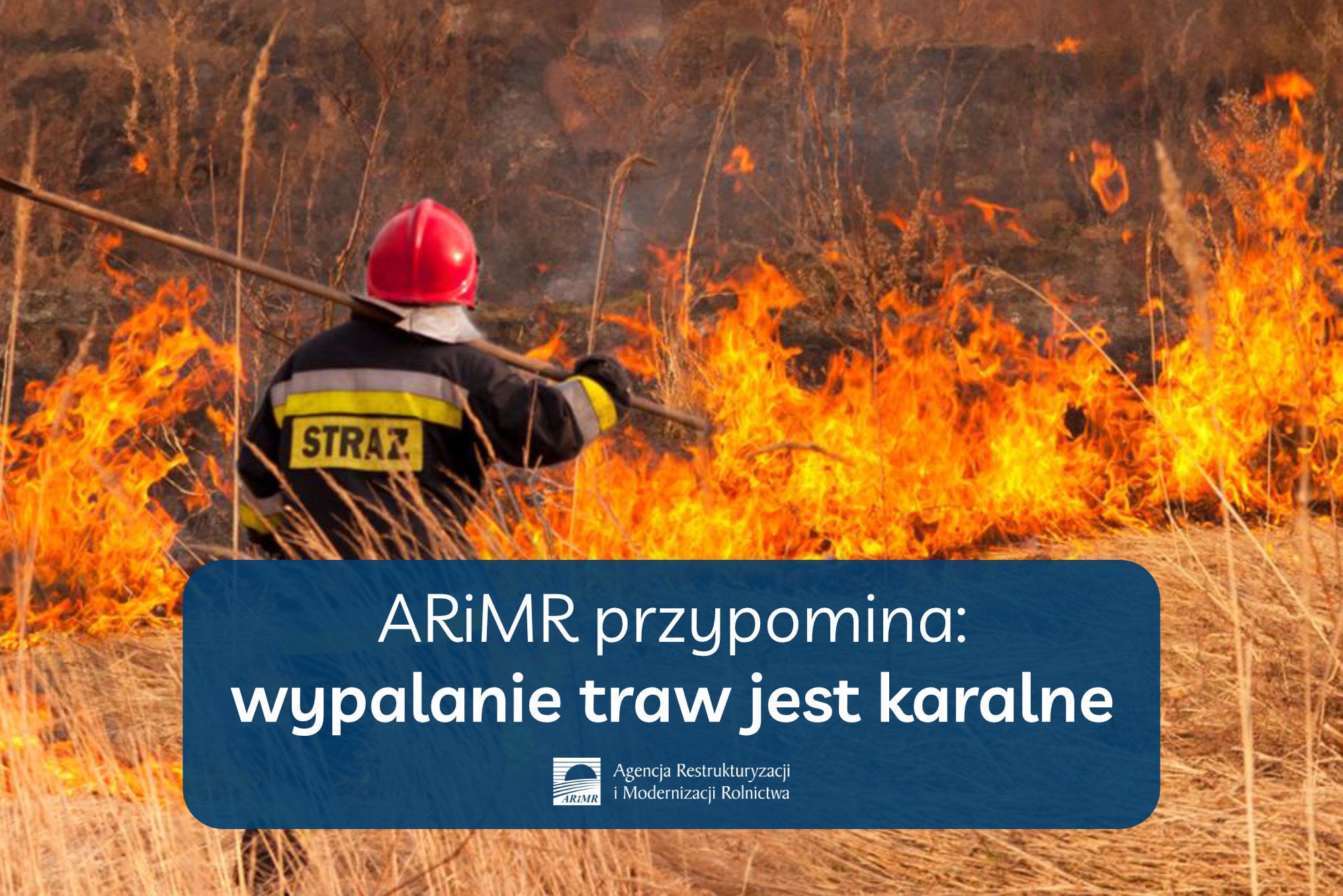 ARiMR przypomina: wypalanie traw jest karalne