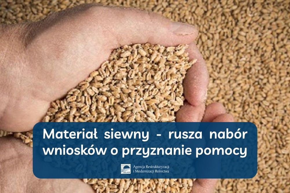 Materiał siewny - nabór wniosków o przyznanie pomocy