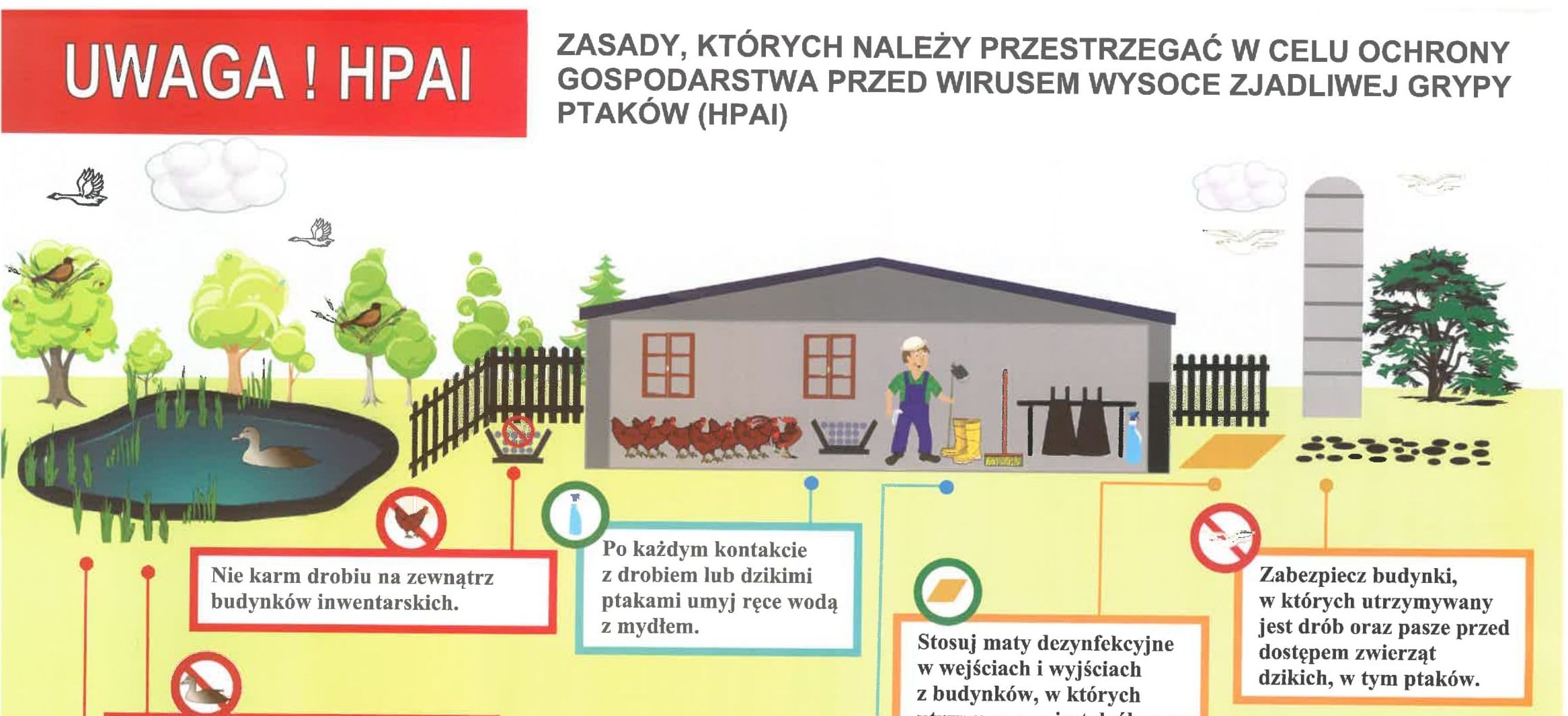 HPAI - informacja Powiatowego Lekarza Weterynarii w Zgierzu