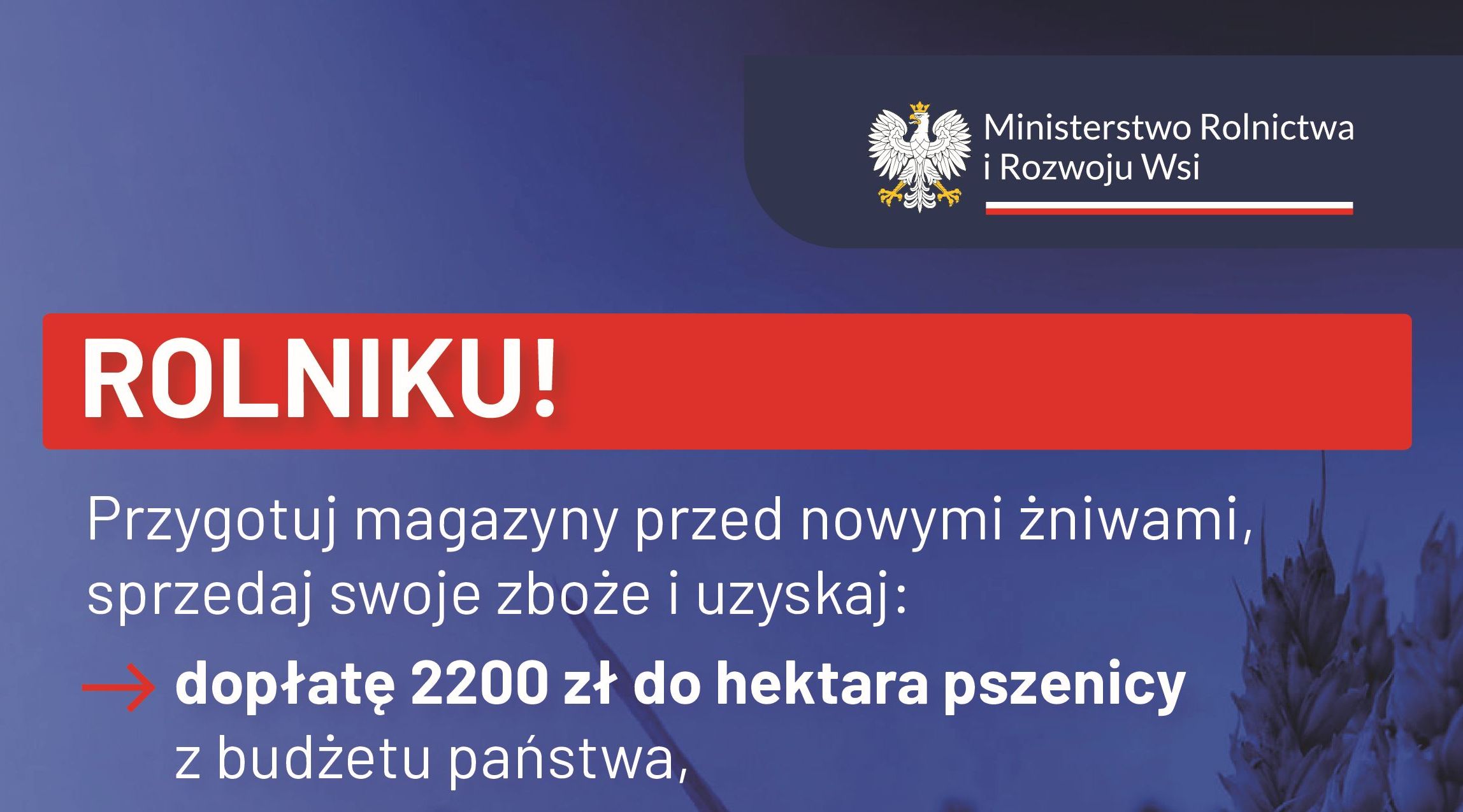 Dopłaty do zboża - Ministerstwo Rolnictwa i Rozwoju Wsi informuje